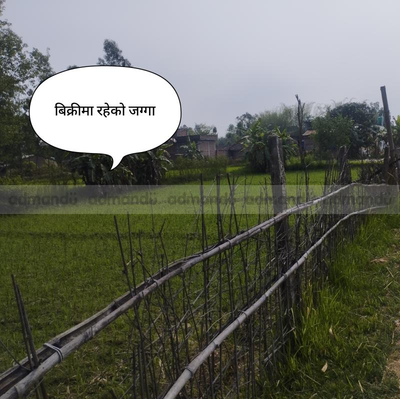 Sasto jagga bikrima-Lahan nagarpalika siraha