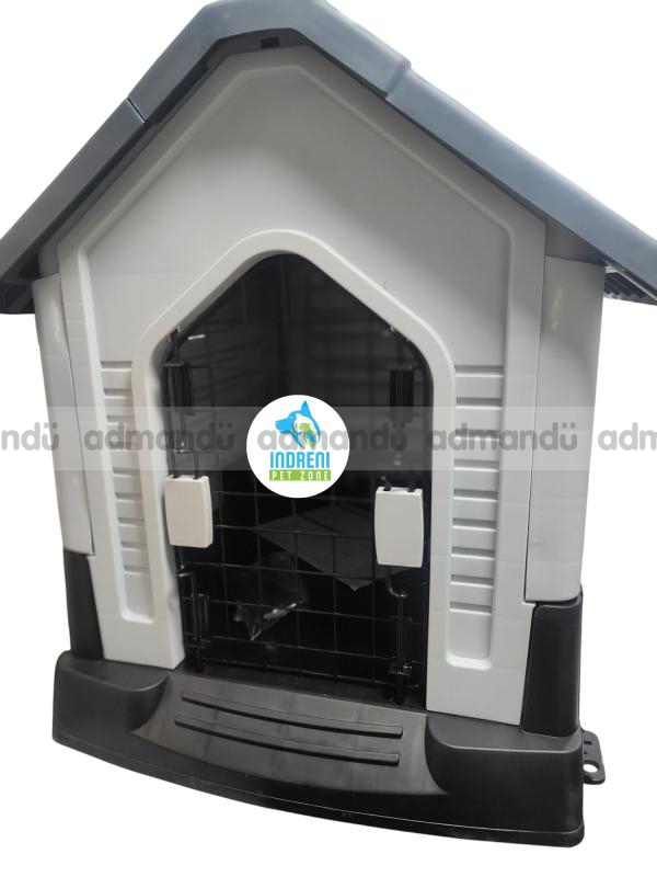 Beautiful Dog House in Kathmandu 
