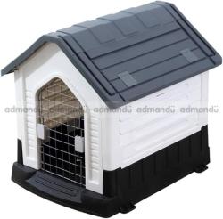 Beautiful Dog House in Kathmandu 