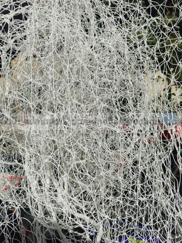 Pigeon net (jali) and Bird spikes Installation  Kathmandu:98