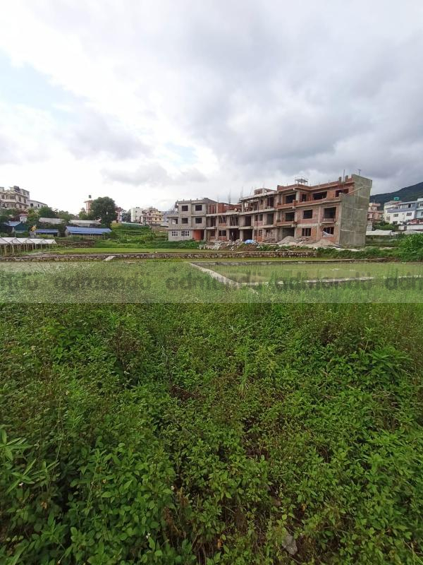 Land On Sale At Pasikot, Budhanilkantha 